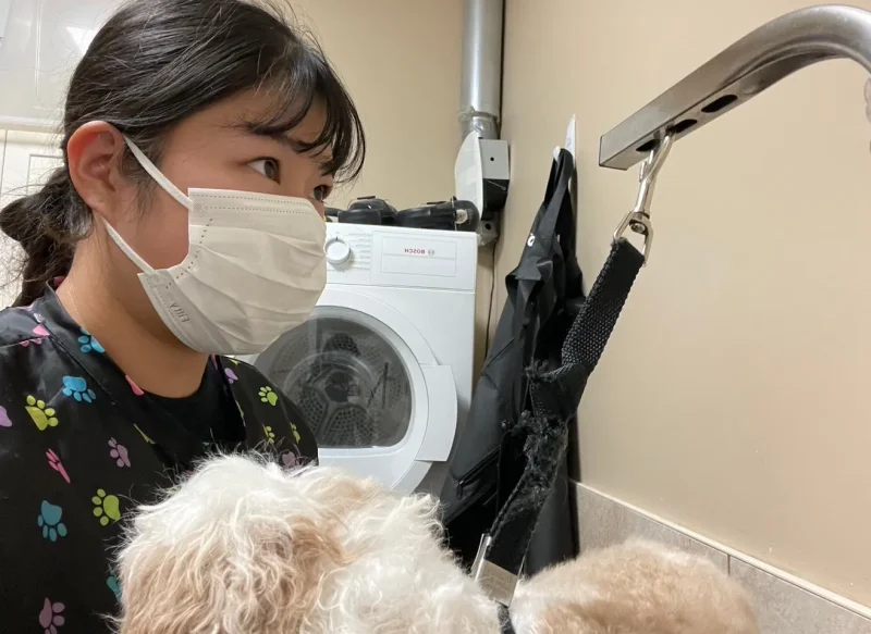 犬のベイジングを担当している様子