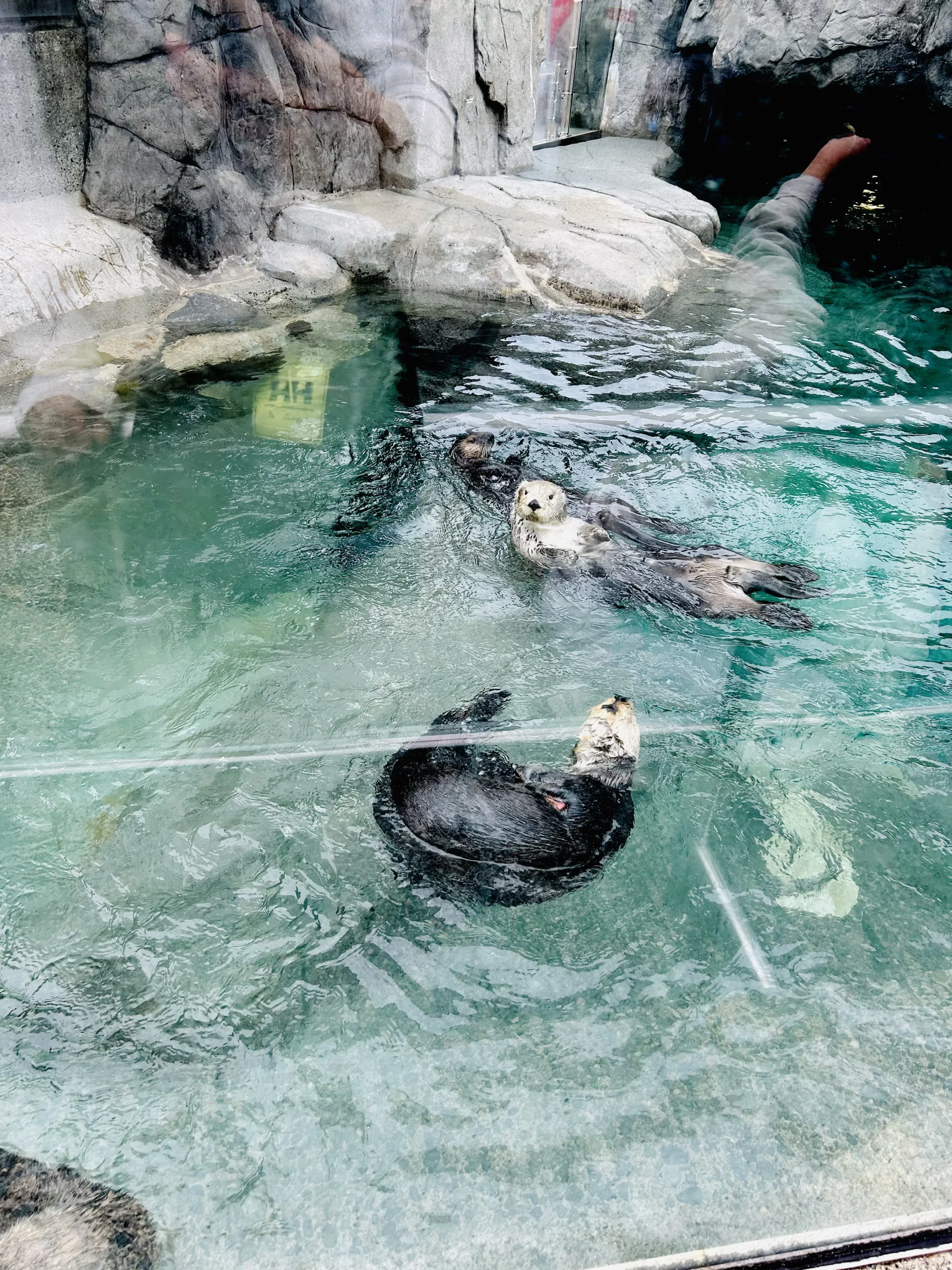 バンクーバー水族館